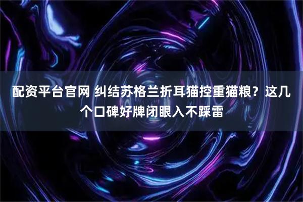 配资平台官网 纠结苏格兰折耳猫控重猫粮？这几个口碑好牌闭眼入不踩雷