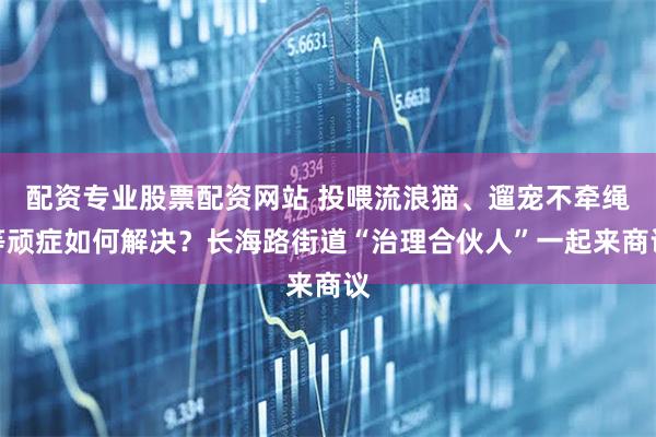 配资专业股票配资网站 投喂流浪猫、遛宠不牵绳等顽症如何解决？长海路街道“治理合伙人”一起来商议