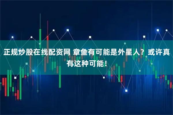 正规炒股在线配资网 章鱼有可能是外星人？或许真有这种可能！