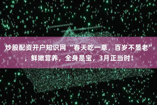 炒股配资开户知识网 “春天吃一草，百岁不显老”，鲜嫩营养，全身是宝，3月正当时！