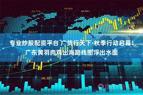 专业炒股配资平台 广货行天下·秋季行动启幕!广东黄羽肉鸡出海路线图浮出水面