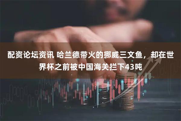 配资论坛资讯 哈兰德带火的挪威三文鱼，却在世界杯之前被中国海关拦下43吨